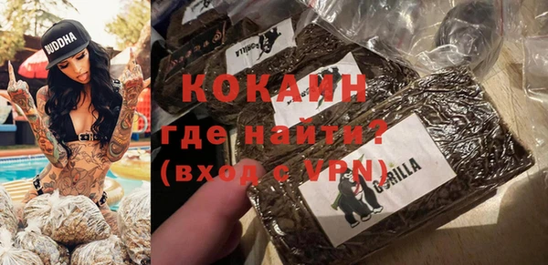 ALPHA PVP Новозыбков