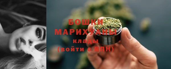 ALPHA PVP Новозыбков