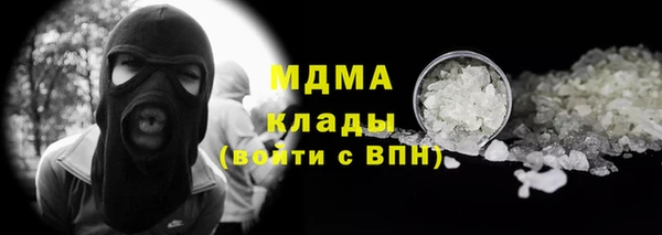 индика Бронницы