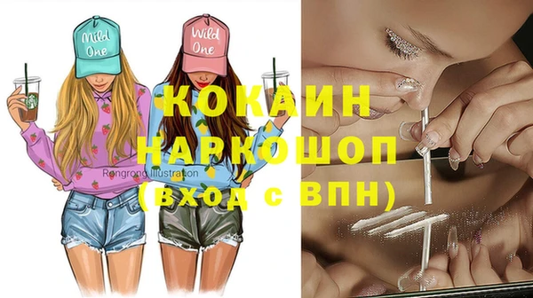 крисы Новокубанск