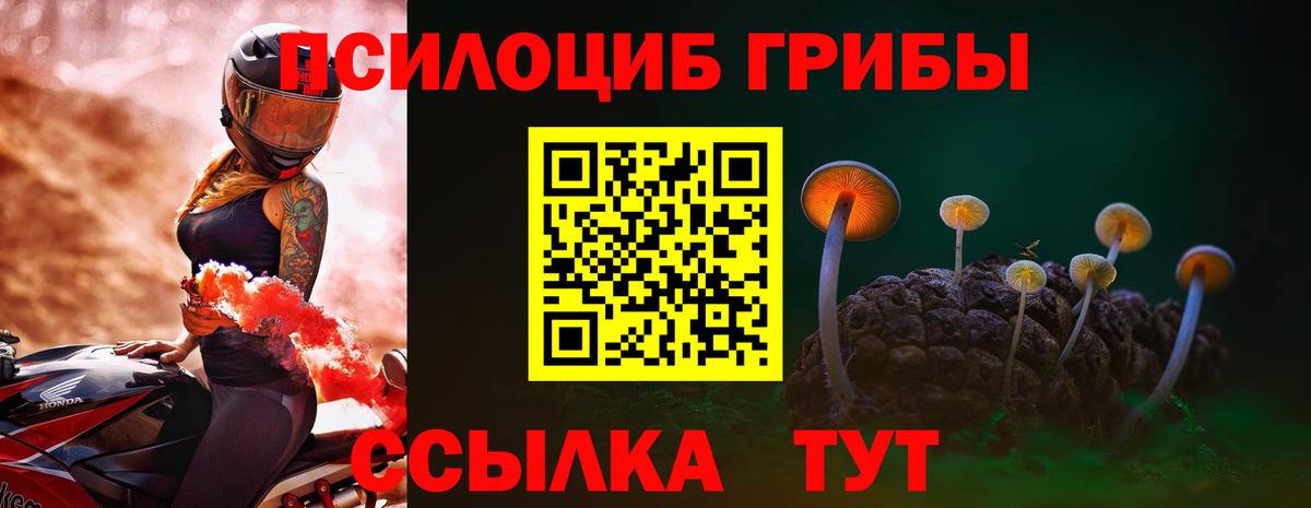 Галлюциногенные грибы Psilocybe Калуга